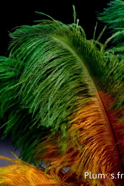 Strauss - 30-40 cm - aztekengold-grün